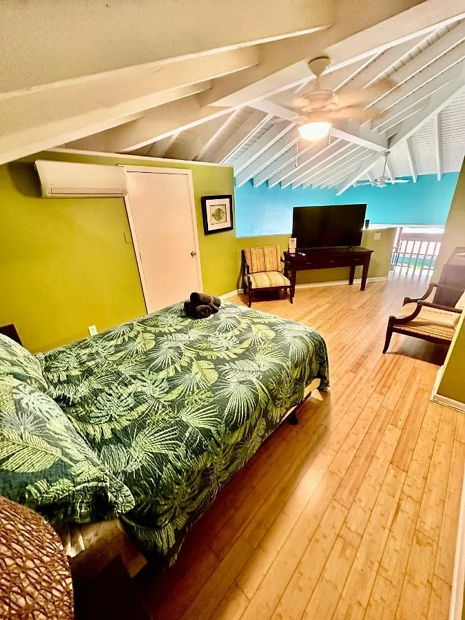 Holiday home Harbor View 2Bed 1Bath Loft In Downtown Red Hook! Villa East End