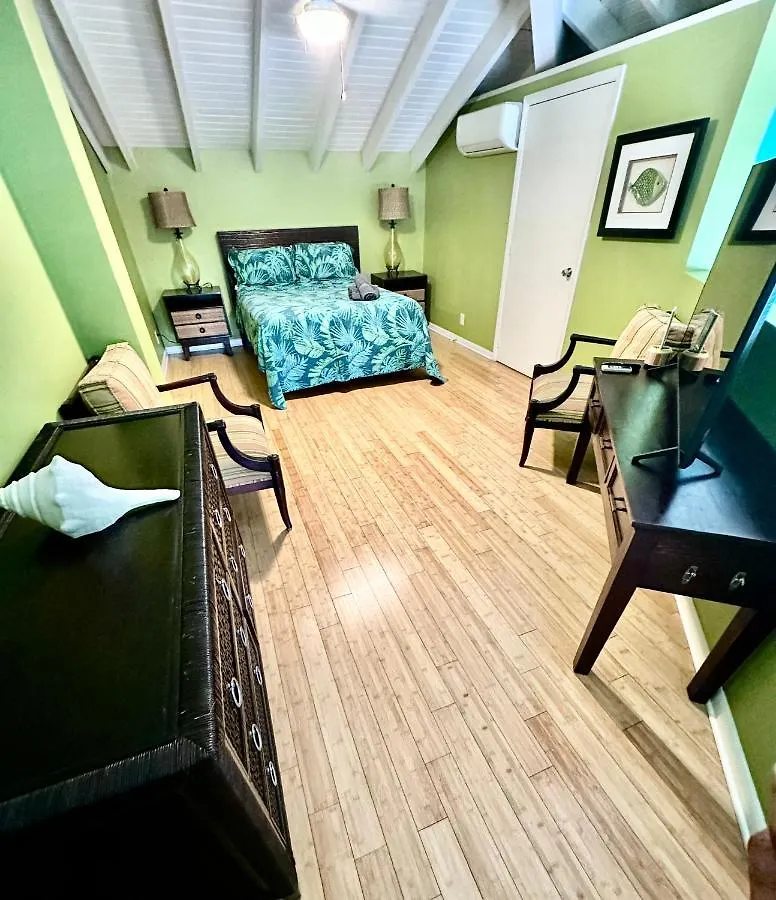 Harbor View 2Bed 1Bath Loft In Downtown Red Hook! Villa East End